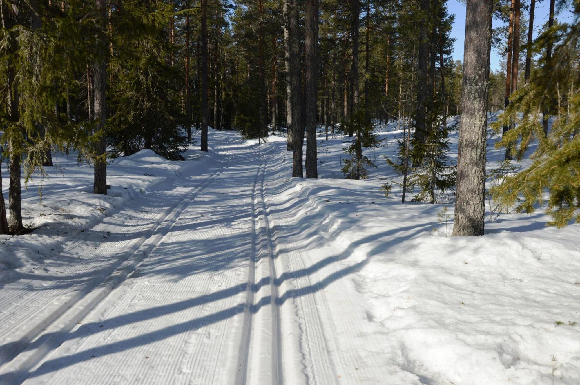 Hytte Anno 1721 Uten Internett, Strom, Vann - Men Med Rodmalt Utedo Ljørdal Buitenkant foto