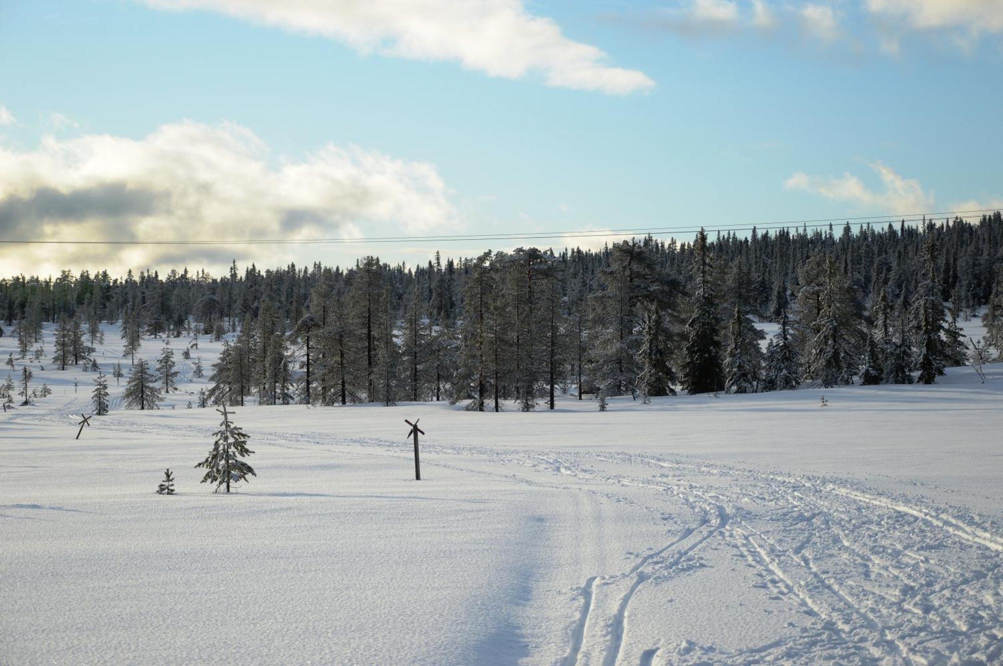 Hytte Anno 1721 Uten Internett, Strom, Vann - Men Med Rodmalt Utedo Ljørdal Buitenkant foto