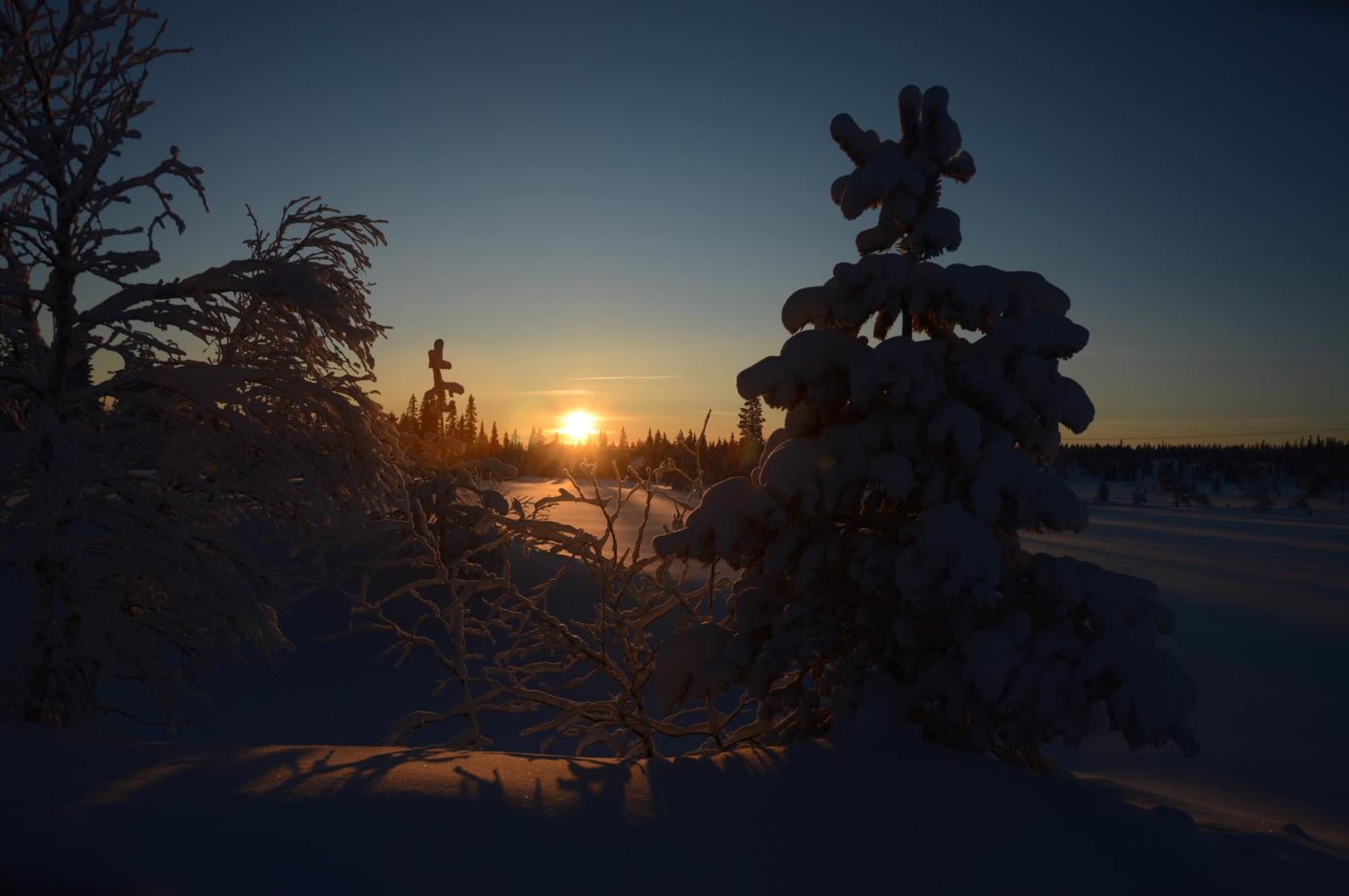 Hytte Anno 1721 Uten Internett, Strom, Vann - Men Med Rodmalt Utedo Ljørdal Buitenkant foto