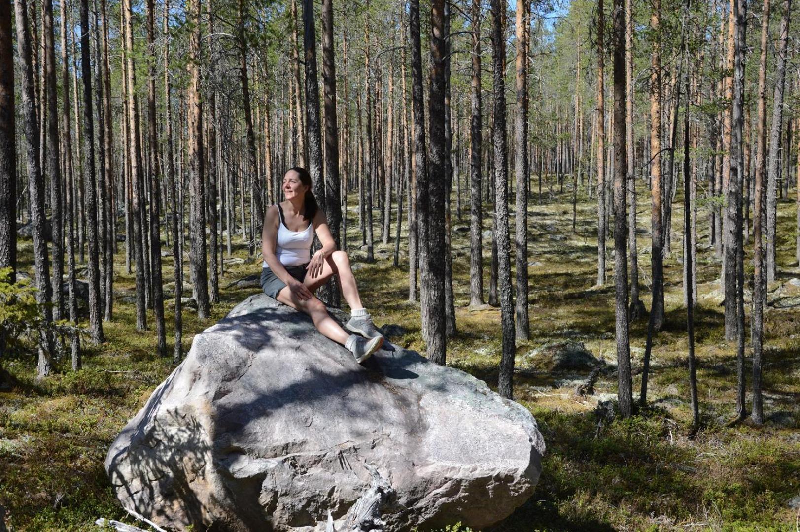 Hytte Anno 1721 Uten Internett, Strom, Vann - Men Med Rodmalt Utedo Ljørdal Buitenkant foto