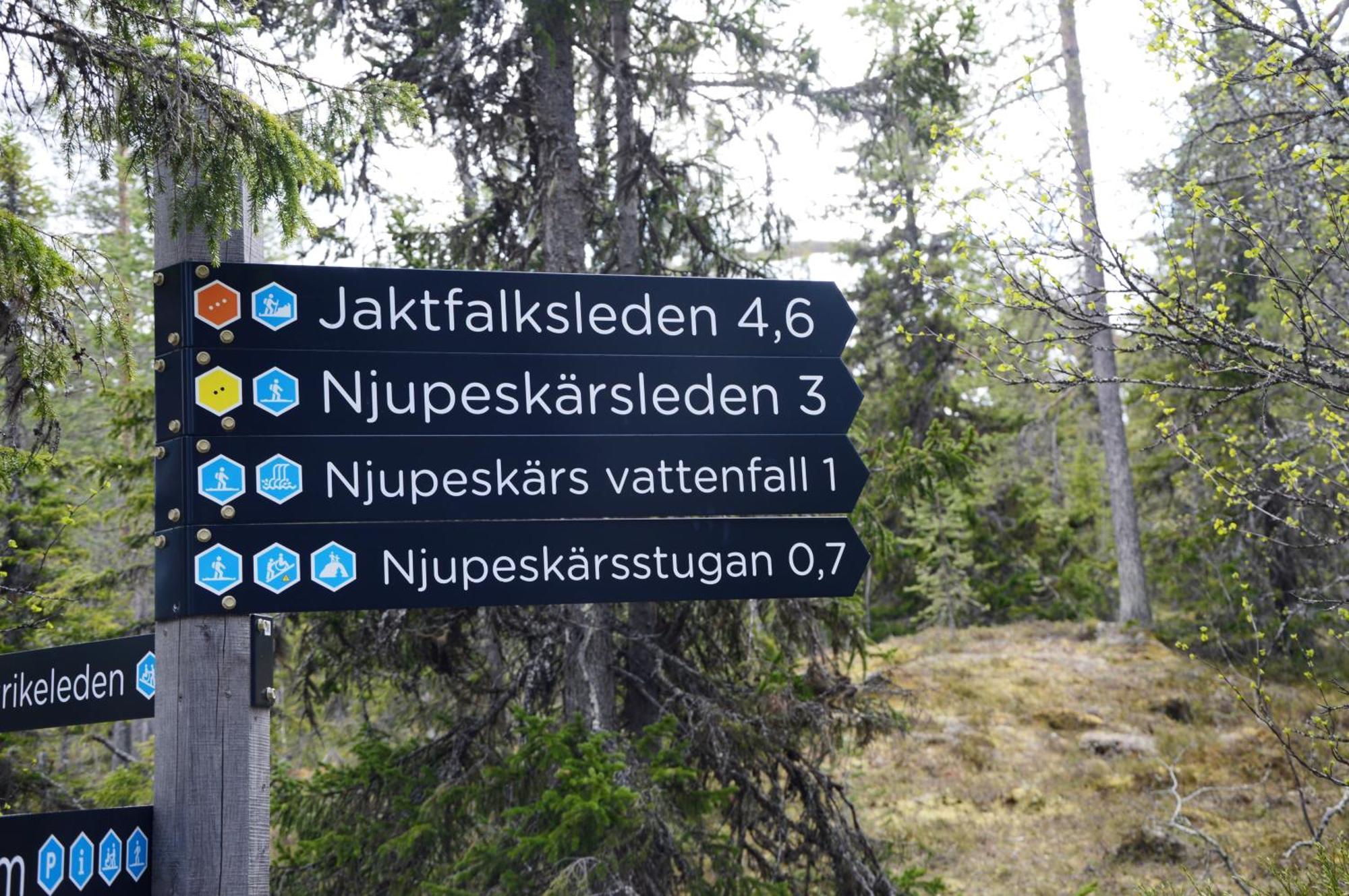 Hytte Anno 1721 Uten Internett, Strom, Vann - Men Med Rodmalt Utedo Ljørdal Buitenkant foto