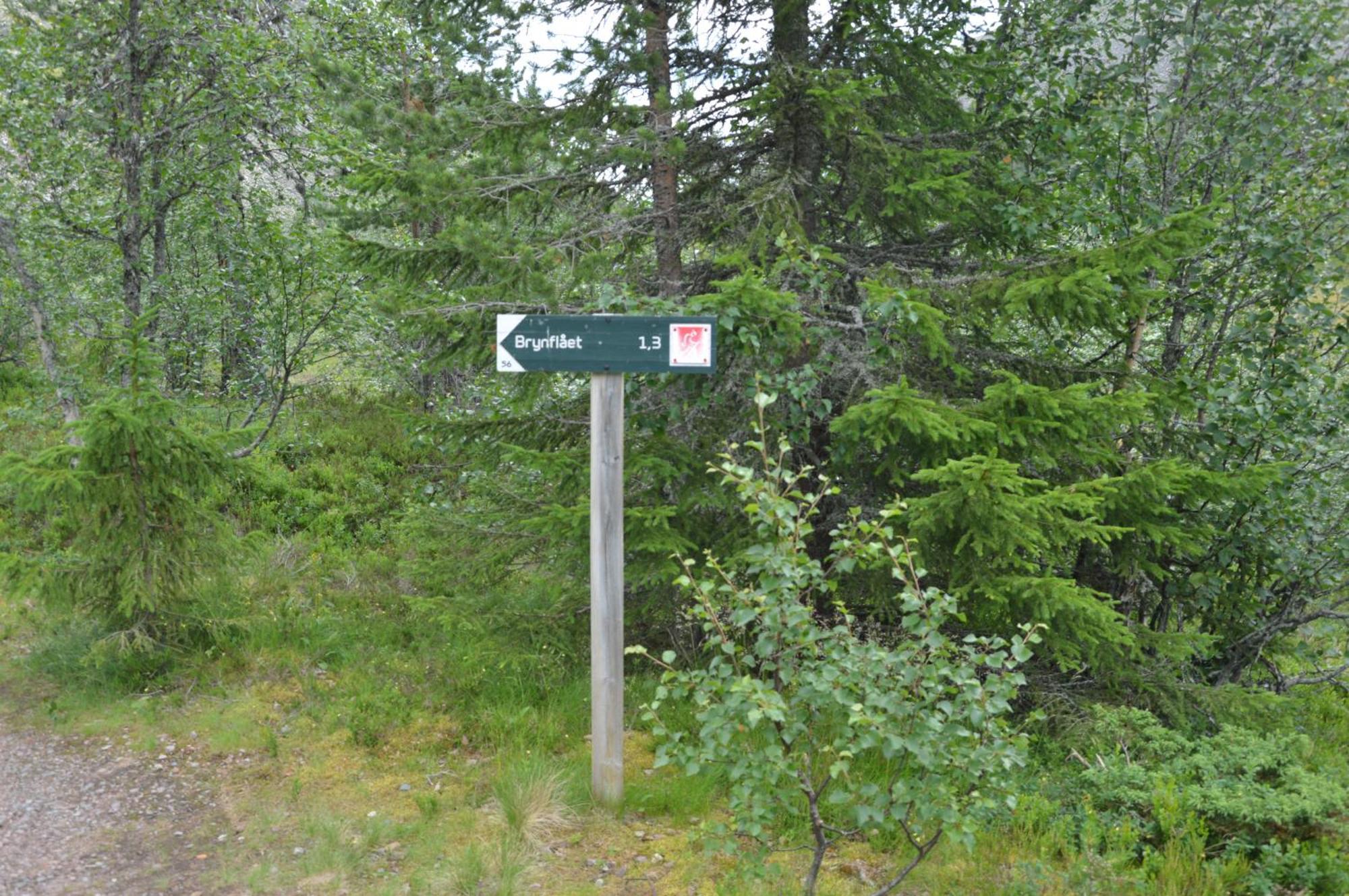 Hytte Anno 1721 Uten Internett, Strom, Vann - Men Med Rodmalt Utedo Ljørdal Buitenkant foto