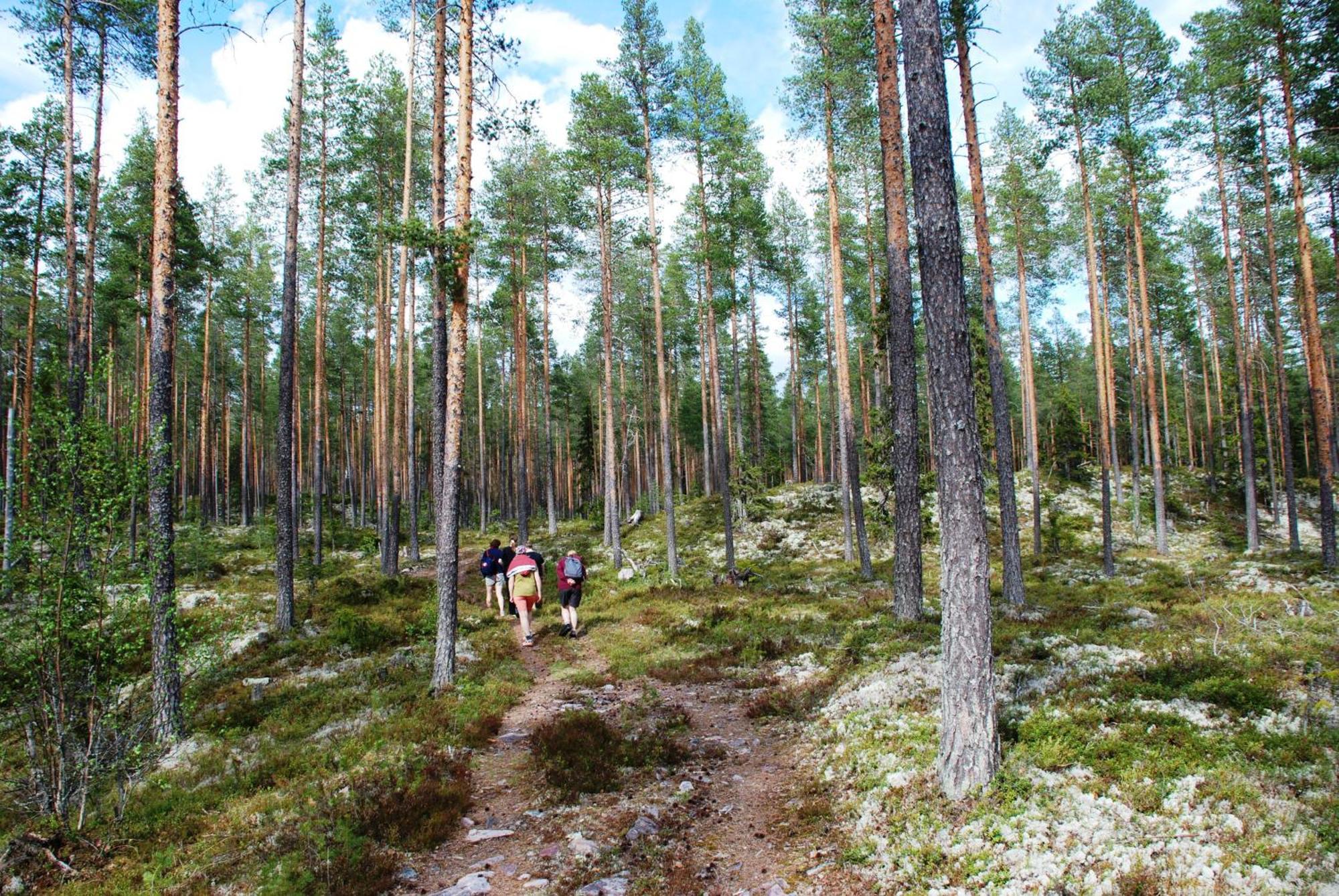 Hytte Anno 1721 Uten Internett, Strom, Vann - Men Med Rodmalt Utedo Ljørdal Buitenkant foto